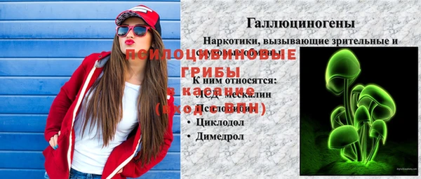 соль ск Беломорск